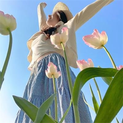泡影昙花